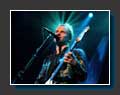 sting